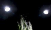 Indian farmers turn to 'satellite god' for better prospects