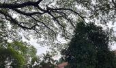 12 Pics: Fort Kochi Is India's Loveliest Walking Town