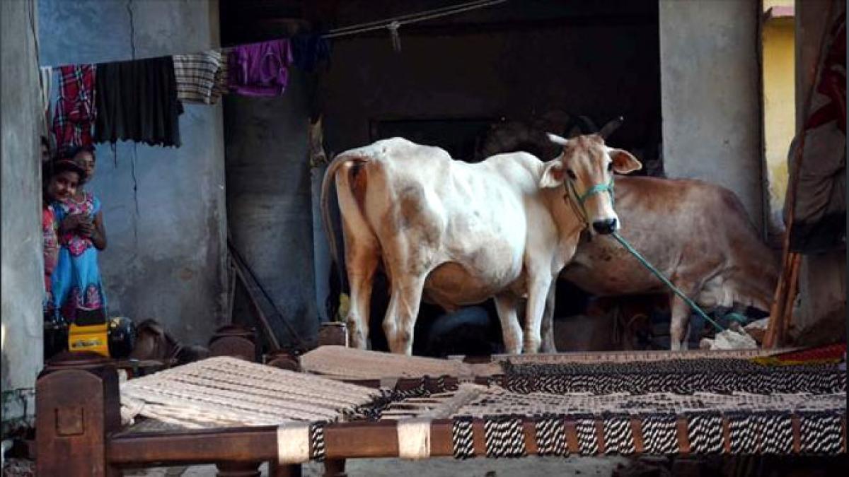 Karnataka Demands Higher Central Tax Share